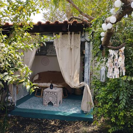 נאזרה Silver Home מראה חיצוני תמונה