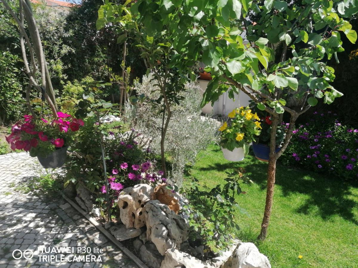 נאזרה Silver Home מראה חיצוני תמונה